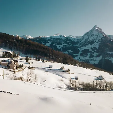 Schwendihaus *