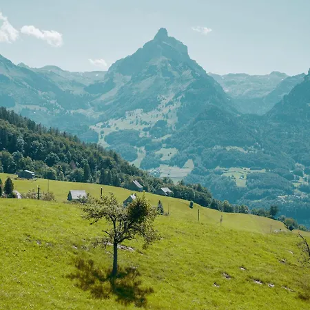 Schwendihaus * Amden